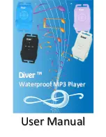 2Go Products Diever User Manual preview