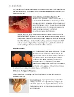 Preview for 61 page of 3D LimitLess ILC User Manual