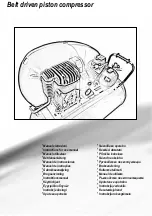 Preview for 2 page of ABAC PRO A29B-0 50 CM3 Zero Instructions For Use Manual