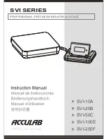 Acculab SVI-100E Instruction Manual preview