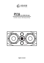 Adam P33A Operation Manual preview