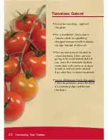 Preview for 24 page of AeroGarden Cherry Tomato Manual