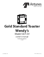 Antunes GST-2V Owner'S Manual preview