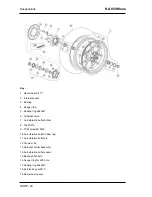 Preview for 234 page of APRILIA NA Mana 850 Service Station Manual