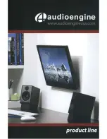 Preview for 14 page of AudioEngine D1 Setup Manual