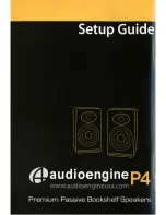 Preview for 1 page of AudioEngine P4 Setup Manual