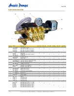 Preview for 12 page of Aussie Pumps Eco-Clean RAL 2035 HYD Operator'S Instruction Manual