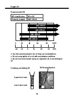 Preview for 36 page of Baja motorsports Phoenix 250 Owner'S Manual