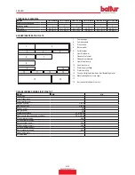 Preview for 42 page of baltur 17500010 Instruction Manual For Installation, Use And Maintenance