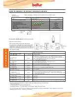 Preview for 48 page of baltur TBG 110LX PN Instruction