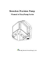 Baoding Longer Precision Pump EasyPump Series Manual preview