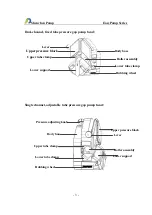 Preview for 6 page of Baoding Longer Precision Pump EasyPump Series Manual