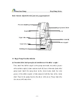 Preview for 7 page of Baoding Longer Precision Pump EasyPump Series Manual