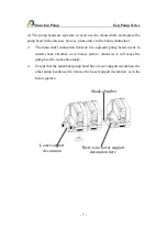 Preview for 10 page of Baoding Longer Precision Pump EasyPump Series Manual