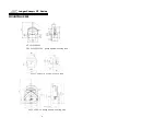 Preview for 5 page of Baoding Longer Precision Pump YZ Series User Manual
