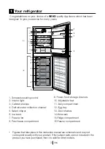 Preview for 4 page of Beko COOL54FS Installation, Operation & Food Storage Instructions