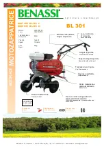 Preview for 2 page of Benassi 8606935 User Manual