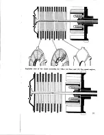 Preview for 30 page of Benelli sprite-barracuda Shop Manual