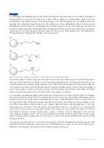 Preview for 2 page of Bio-Works BabyBio DEAE Instructions Manual