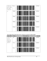 Preview for 40 page of BitaTek Cyclops 1D Settings Manual