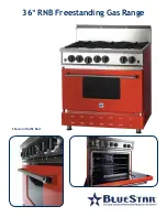 Preview for 4 page of BlueStar RNB36 Brochure