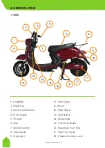 Preview for 6 page of BOLTA ELECTRiC MOPED User Manual