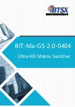 Preview for 1 page of BTSX BIT-Ma-GS-2.0-0404 Manual