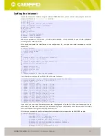 Preview for 45 page of Caen RFID ion R4301P Technical Information Manual