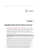 Preview for 8 page of Calix GigaSpire BLAST u6me Installation Manual