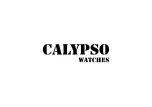 Preview for 49 page of Calypso Watches DIGITAL IKM1099 Instruction Manual