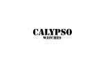 Preview for 51 page of Calypso Watches K5744/1 Instruction Manual