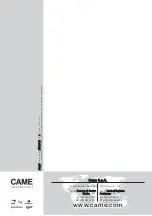 Preview for 80 page of CAME FA70230 Installation Manual