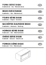 Preview for 1 page of Candy FNP319/1X/E Installation - Use - Maintenance