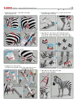 Preview for 4 page of Canon CREATIVE PARK Zebra Assembly Instructions