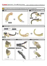 Preview for 2 page of Canon Supersaurus Assembly Instructions Manual