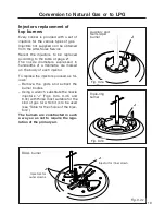 Preview for 19 page of Caple cr9204 Instruction Manual