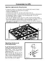 Preview for 11 page of Caple CRG 902 SS Instruction Manual