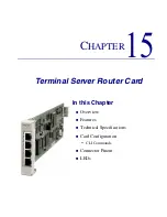 Preview for 453 page of Carrier Access Network Device Axxius 800 User Manual