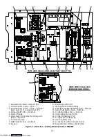 Preview for 15 page of Carrier TRANSICOLD 69NT40-489 Operation And Service