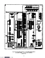 Preview for 96 page of Carrier TRANSICOLD 69NT40-489 Operation And Service