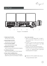 Preview for 9 page of Cayin CS-100A User Manual