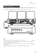 Preview for 13 page of Cayin CS-100A User Manual