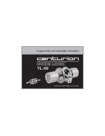 Centurion Code lock YL-99 Programming And Installation Instructions preview