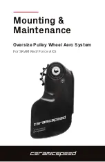 Ceramicspeed Oversize Pulley Wheel Aero System Mounting & Maintenance preview