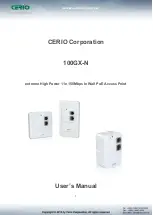 Preview for 1 page of Cerio 100GX-N User Manual