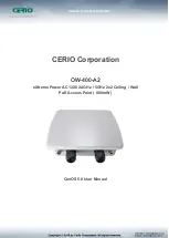 Cerio OW-400-A2 Manual preview