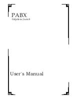 Cirrus CRS-1XB User Manual preview