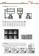 Preview for 4 page of CitrinSolar CS-ZV Manual For The Specialised Craftsman