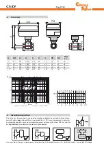 Preview for 12 page of CitrinSolar CS-ZV Manual For The Specialised Craftsman