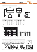 Preview for 20 page of CitrinSolar CS-ZV Manual For The Specialised Craftsman